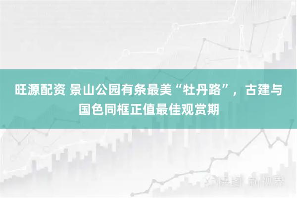 旺源配资 景山公园有条最美“牡丹路”，古建与国色同框正值最佳观赏期